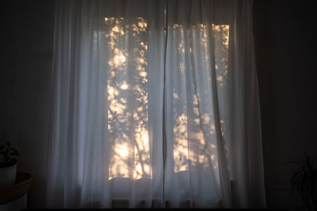 Plant shadows background on the curtains in the windowの写真素材