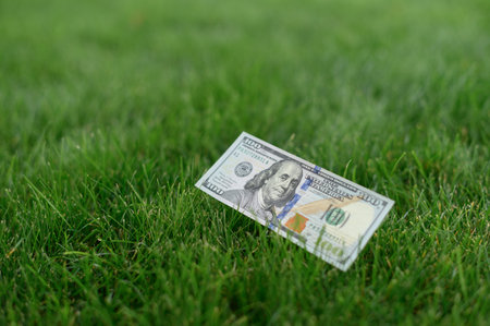 Close up 100 Dollar bank note on grass background. One hundred American dollars.の写真素材