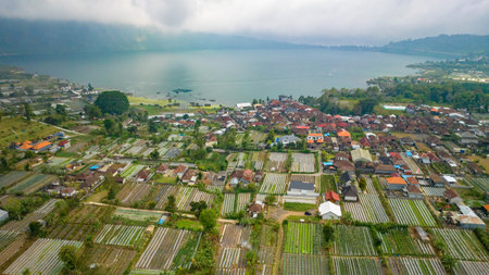 Vegetable plantations in the Bedugul area of Bali, Indonesia. Near Beratan Lakeの写真素材