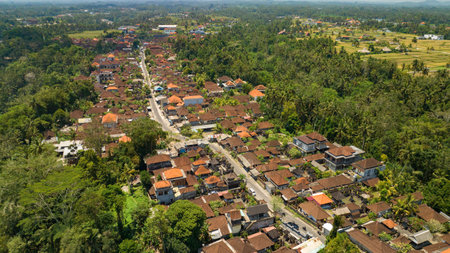 An Aerial View of a Charming Traditional Villageの写真素材