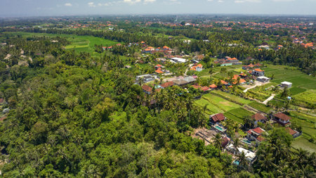 Aerial view of a picturesque village surrounded by lush greenery and stunning landscapesの写真素材