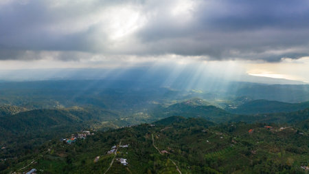 A Majestic and Enchanting Forest Landscape Infused with Warm Sunlight and Soft Cloudsの写真素材