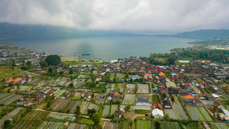 Vegetable plantations in the Bedugul area of Bali, Indonesia. Near Beratan Lakeの写真素材