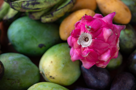 Set of Balinese fruits and vegetables . Flat layの写真素材