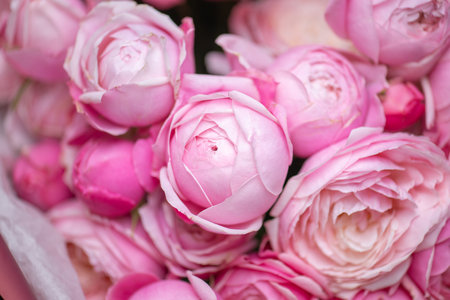 Beautiful Pink ranunculus Bouquet close upの写真素材