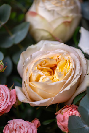 A Stunning Arrangement Featuring a Beautiful Bouquet of Pink and White Roses Alongside Liliesの写真素材