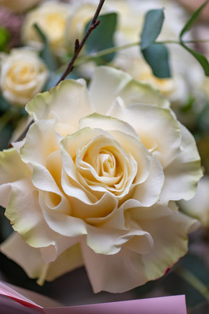A Stunning Arrangement Featuring a Beautiful Bouquet of Pink and White Roses Alongside Liliesの写真素材