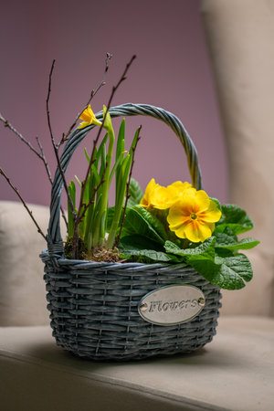 This charming flower basket showcases beautiful yellow blooms along with vibrant greeneryの写真素材