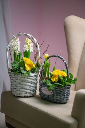 This charming flower basket showcases beautiful yellow blooms along with vibrant greeneryの写真素材
