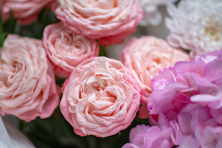Bouquet of Pink and White Roses close upの写真素材