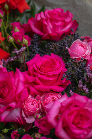 Beautiful Bouquet of magenta fuchsia color rosesの写真素材