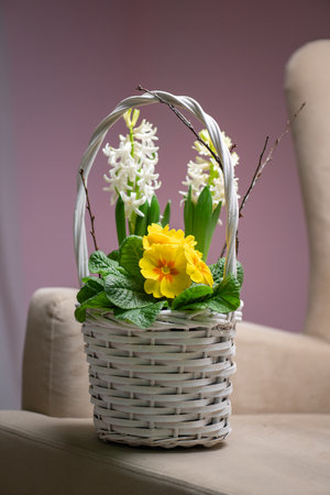 This charming flower basket showcases beautiful yellow blooms along with vibrant greeneryの写真素材