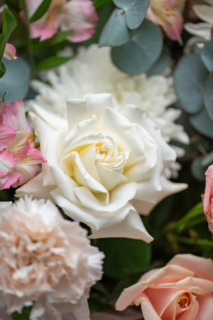 Delicate white and pink roses close upの写真素材