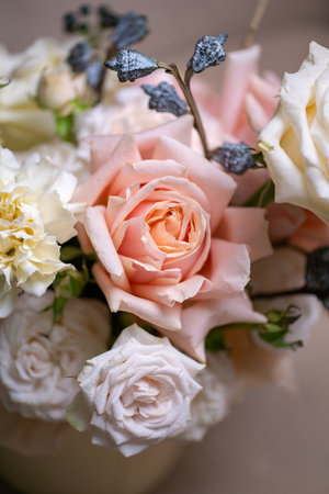 Delicate white and pink roses close upの写真素材