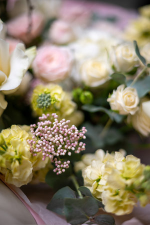 Delicate white and pink roses close upの写真素材