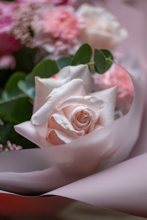Delicate white and pink roses close upの写真素材