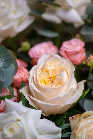 Delicate composition of white and pink roses in a basketの写真素材