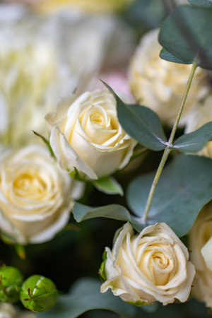Delicate white roses close upの写真素材