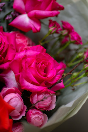 Beautiful Bouquet of magenta fuchsia color rosesの写真素材