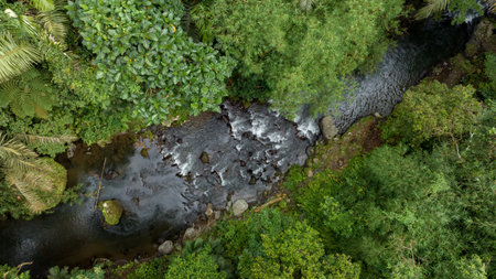 River in tropical green rainforest, 4K Aerial drone top view shotの写真素材
