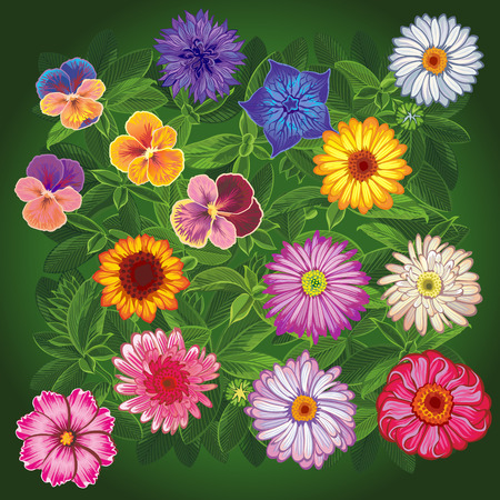 Floaral Vectorのイラスト素材