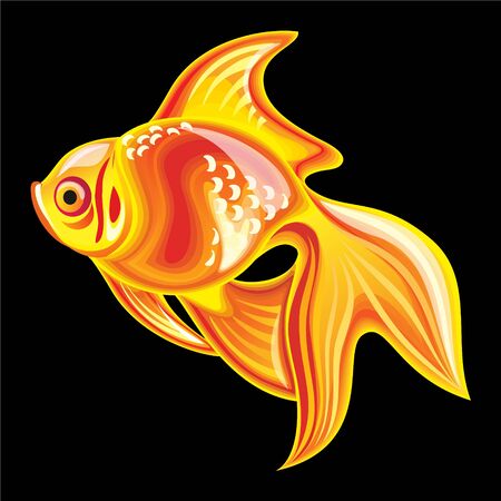 Vector objects talismans Feng Shui on a black background.のイラスト素材