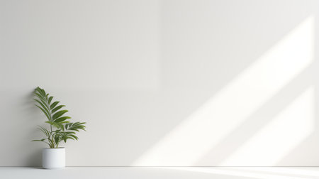 3d render of a white wall with a green plant in a potの素材