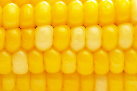 Ripe bowled corn cob detailed macro shot background