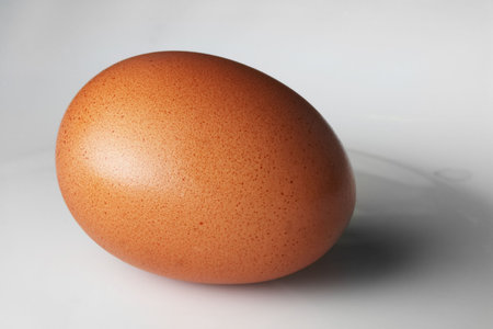 Uncooked brown chicken egg over grey background