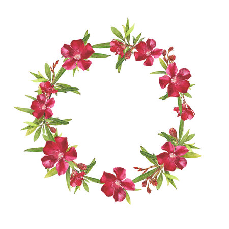 Watercolor illustration of Oleander. Set with flowers and leaves. Hand-drawn isolated clip art on a white background. Bright watercolor for holiday cards, wedding invitations, textiles, print designの写真素材