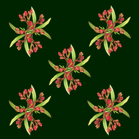 Watercolor illustration of Oleander. Set with flowers and leaves. Hand-drawn isolated clip art on a white background. Bright watercolor for holiday cards, wedding invitations, textiles, print designの写真素材