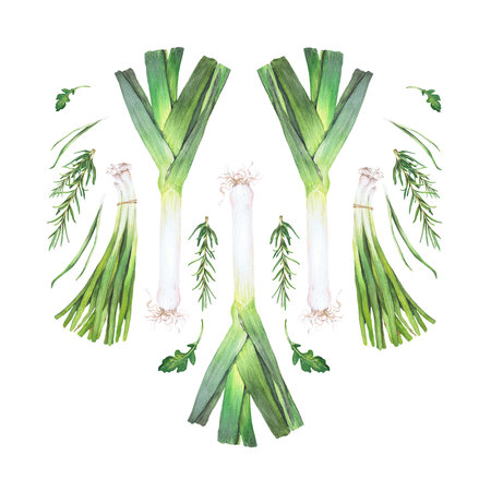 watercolor illustration of vegetables. Hand-drawn set from isolated clip art on a white background. Bright pictures of realistic vegetables for menus, signs, packaging, textiles, printed materialsの写真素材