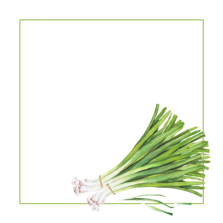 watercolor illustration of vegetables. Hand-drawn set from isolated clip art on a white background. Bright pictures of realistic vegetables for menus, signs, packaging, textiles, printed materialsの写真素材