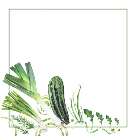 watercolor illustration of vegetables. Hand-drawn set from isolated clip art on a white background. Bright pictures of realistic vegetables for menus, signs, packaging, textiles, printed materialsの写真素材