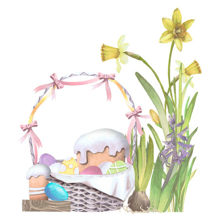 Spring flowers, basket with eggs and Easter cake watercolor illustration isolated on white. Narcissus and kulich hand drawn pastel tones for Easter cards, packaging and festive decorの写真素材