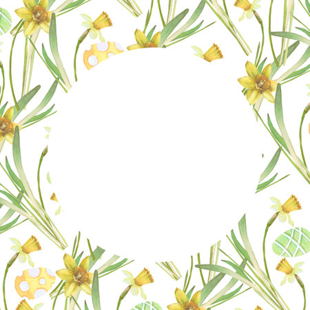 Frame of spring flowers, Easter eggs, leaves watercolor illustration isolated on white. Narcissus and eggs hand drawn in pastel tones for Easter cards, packaging and festive decorの写真素材