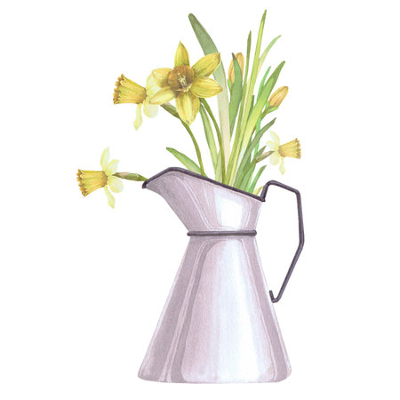 Narcissus in jug, Easter composition watercolor illustration isolated on white. Realistic flowers with leaves hand drawn in pastel tones for Easter cards, packaging and festive decorの写真素材