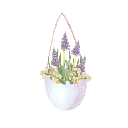 Spring flowers in eggshells on a rope, watercolor illustration isolated on white. Muscari and mimosa flowers hand drawn pastel tones for Easter cards, packaging and festive decorの写真素材