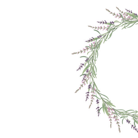 Watercolor frame lavender and salvia. Hand-drawn clip-art on white background. Delicate realistic images of herbs for packaging, textiles, printing, holiday cards,wedding,menuの写真素材