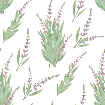 Watercolor seamless pattern of salvia flower. Hand-drawn clip-art on white background. Delicate realistic images of herbs for packaging, textiles, printing, holiday cards, weddingの写真素材