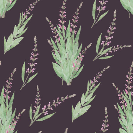 Watercolor seamless pattern of salvia flower. Hand-drawn clip-art on dark background. Delicate realistic images of herbs for packaging, textiles, printing, holiday cards, weddingの写真素材