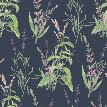Watercolor seamless pattern of medicinal herbs with bouquet of Salvia,mint, lavander.Hand-drawn clip-art on dark background.Realistic images for packaging, textiles,wedding,cards,menuの写真素材