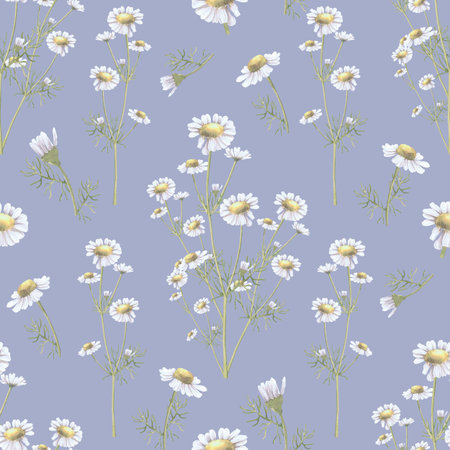 Watercolor seamless pattern of chamomile flower. Hand-drawn clip-art on color background. Delicate realistic images of herbs for packaging, textiles, printing, holiday cards, weddingの写真素材