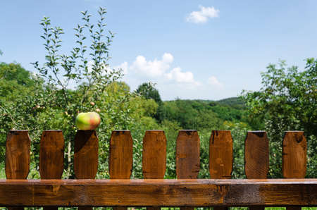 brown wooden picket fence with apple on top of it and out of focus nature landscape in the backgroundの写真素材