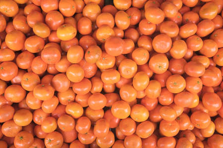 lots of fresh mandarin oranges forming an orange backgroundの写真素材