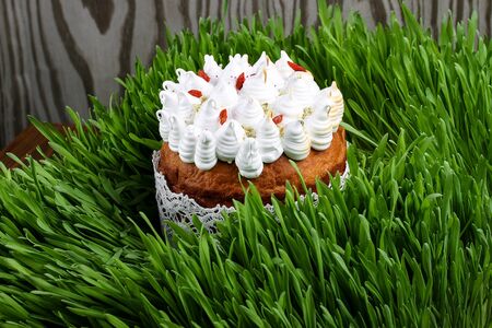 Easter cake and colorful eggs in green grassの写真素材