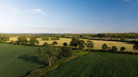 Aerial shot of green agricultural farmers fields near Glastonbury, Somerset.の写真素材
