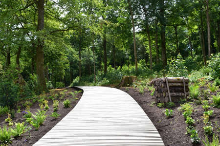 A beautiful path heading through the woodland at The Newt, a country garden and estate in Somerset.の写真素材