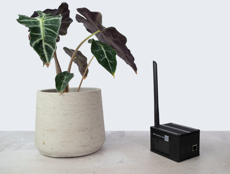 Helium hotspot cryptocurrency miner next to a plant in a home or office.