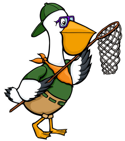 cartoon pelican zookeeper with a fish netのイラスト素材